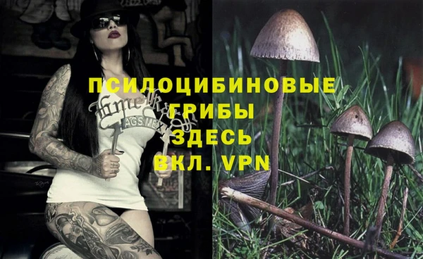 ALPHA-PVP Гусиноозёрск