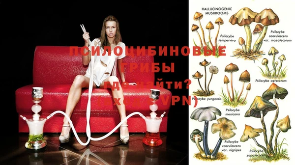 Альфа ПВП Гусь-Хрустальный