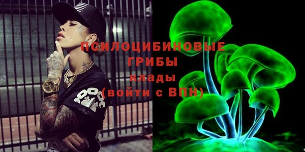 ALPHA-PVP Гусиноозёрск