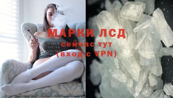 спиды Гусев